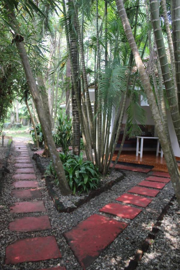 Ferienwohnung Mint Inside Garden Varkala Exterior foto
